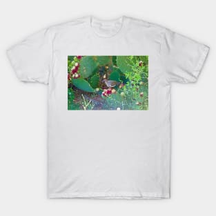 Desert Study 11 T-Shirt